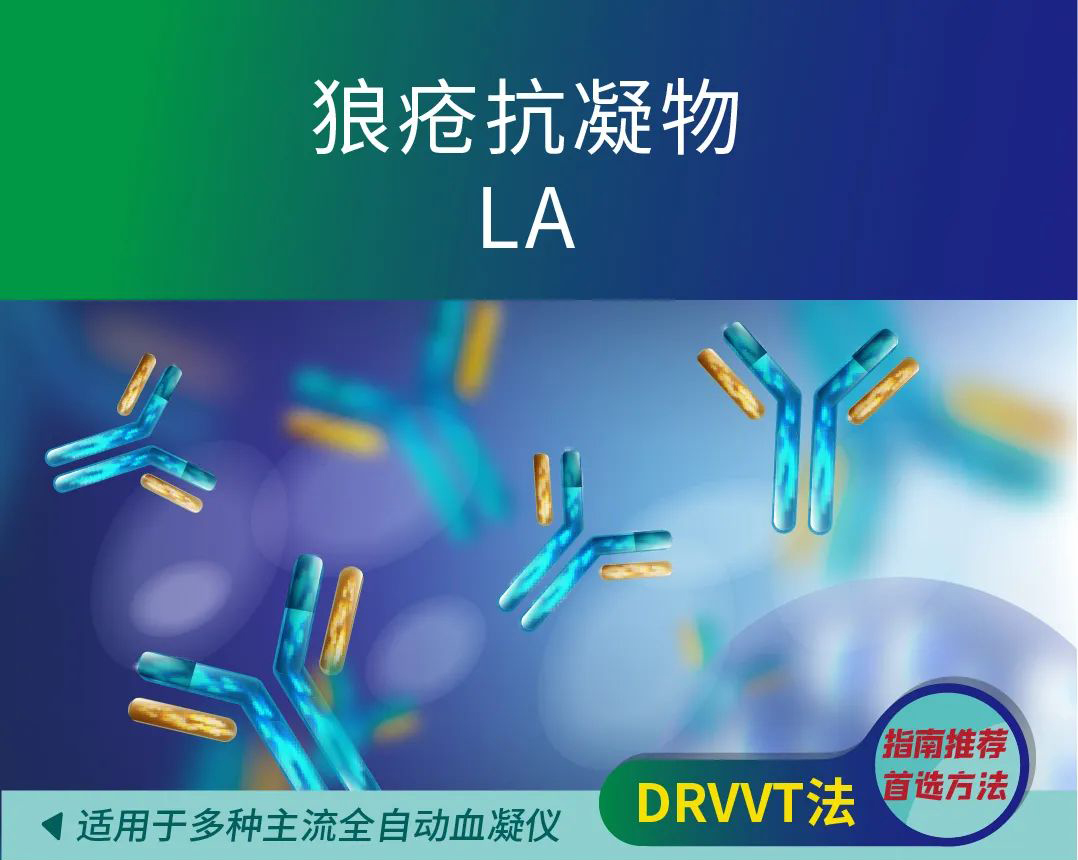 宝运莱·(中国区)集团官方网站